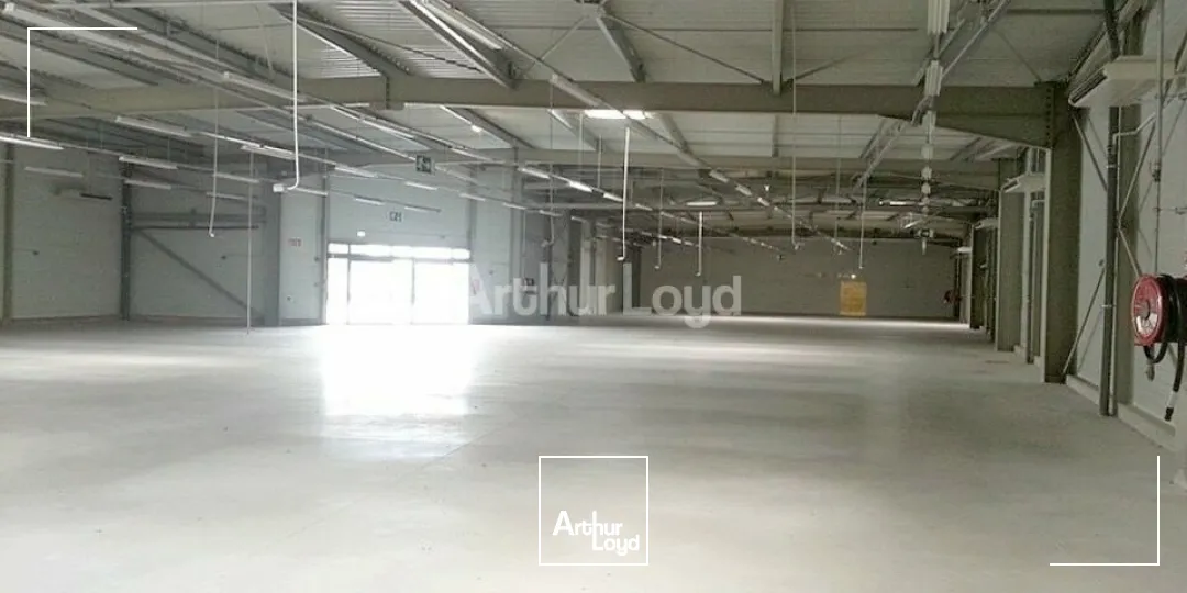 Locaux commerciaux - Location - ÉPINAL - 88000 - 1836-1836 - 7857033