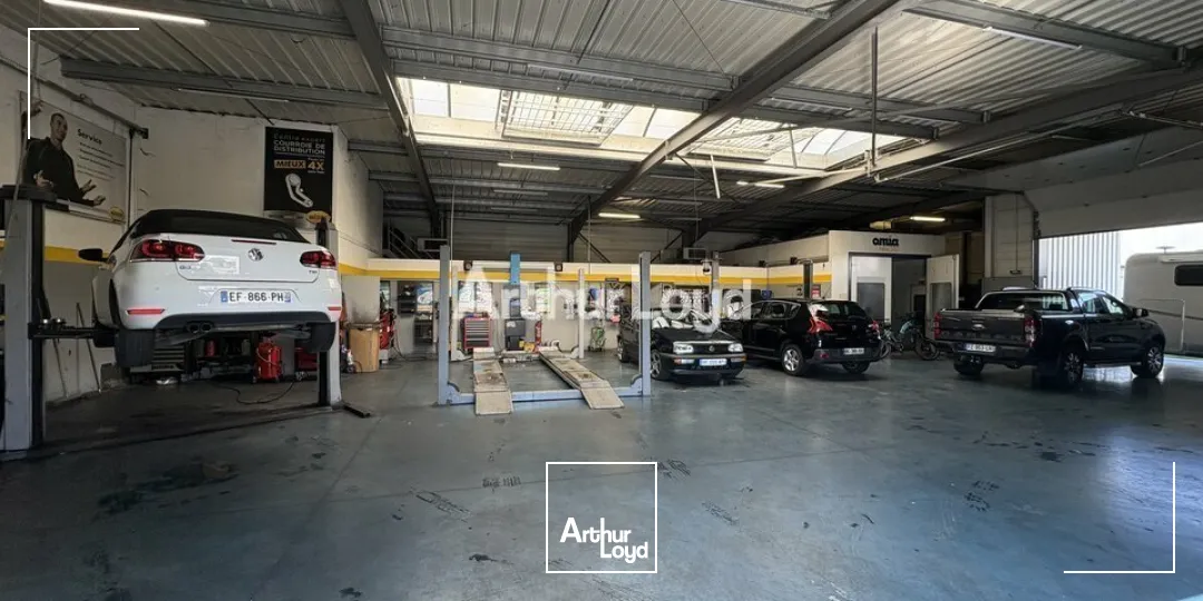 Locaux d'activité & Entrepôts - Vente - WISSEMBOURG - 67160 - 723-723 - 7857051