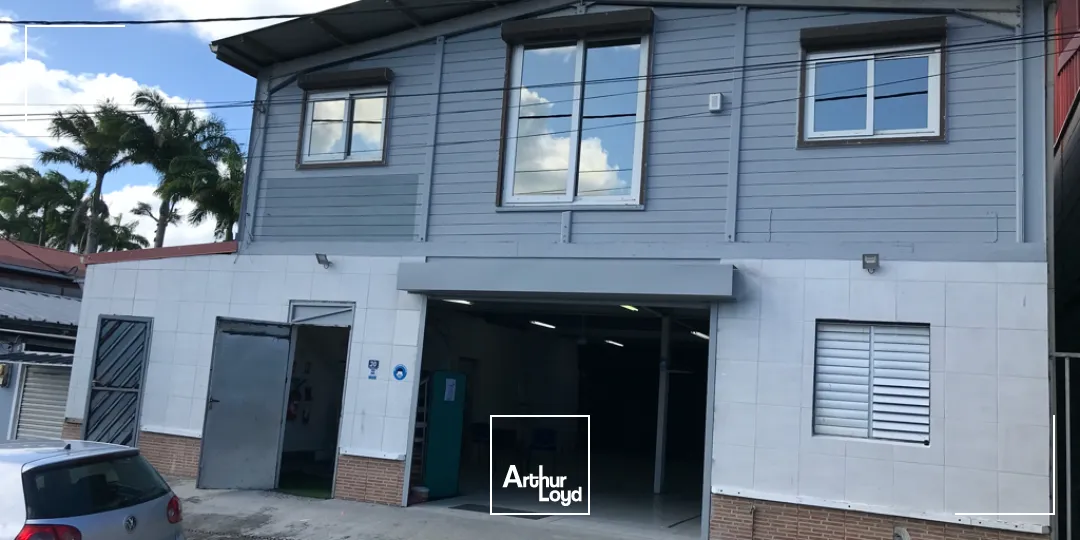 Locaux commerciaux - Location - Ducos - 97224 - 300-300 - 7857799