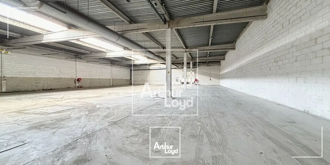 Locaux d'activité & Entrepôts - Location - MOISSY CRAMAYEL - 77550 - 2744-2744 - 7857880