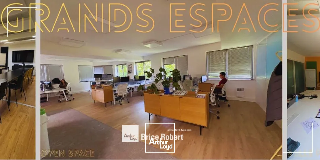 Bureaux - Location - LYON - 69004 - 887-887 - 7858473