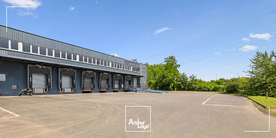 Locaux d'activité & Entrepôts - Location - PALAISEAU - 91120 - 1455-3841 - 7859050