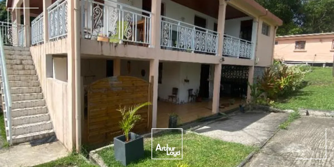 Locaux commerciaux - Location - Riviere Salee - 97215 - 85-85 - 7859306