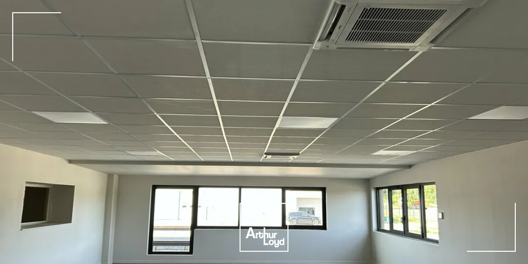 Bureaux - Location - DIDENHEIM - 68350 - 185.8-185.8 - 7867901