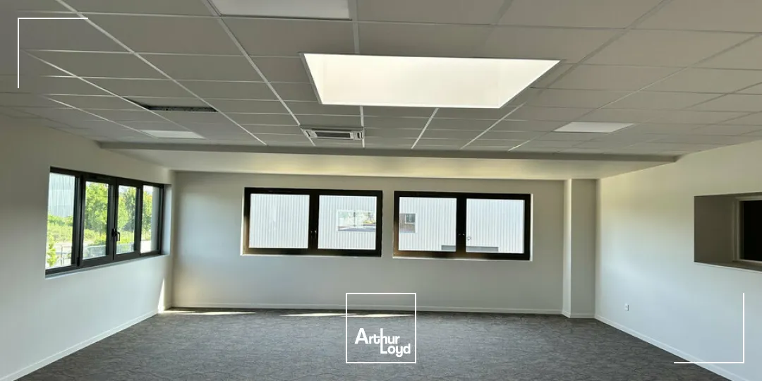 Bureaux - Location - DIDENHEIM - 68350 - 185.8-185.8 - 7867903