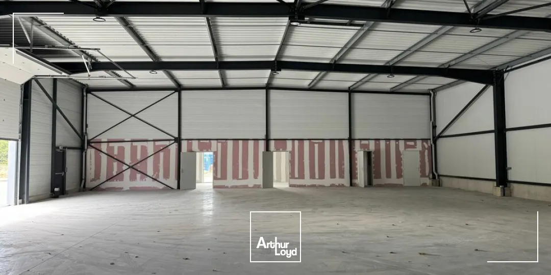 Locaux d'activité & Entrepôts - Location - JOUÉ-LÈS-TOURS - 37300 - 838-838 - 7867972