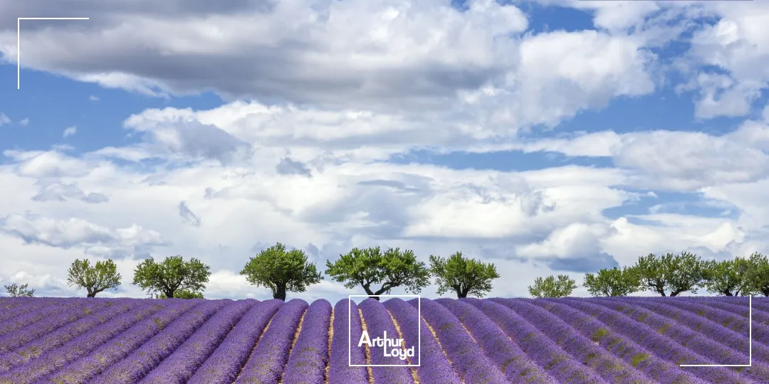 Locaux commerciaux - Location - AIX EN PROVENCE - 13100 - 341-341 - 7868180