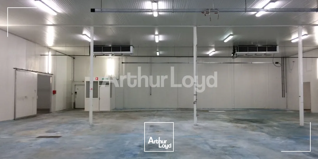 Locaux d'activité & Entrepôts - Location - MONCHY LE PREUX - 62118 - 1305-1305 - 7871500
