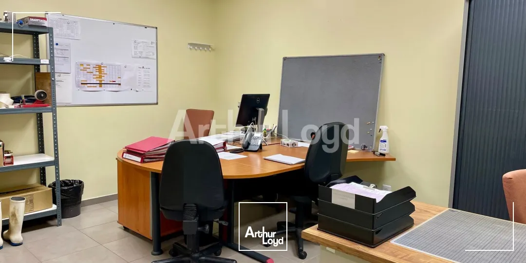 Locaux d'activité & Entrepôts - Vente - SAINT MARTIN LEZ TATINGHEM - 62500 - 1035-1035 - 7872436