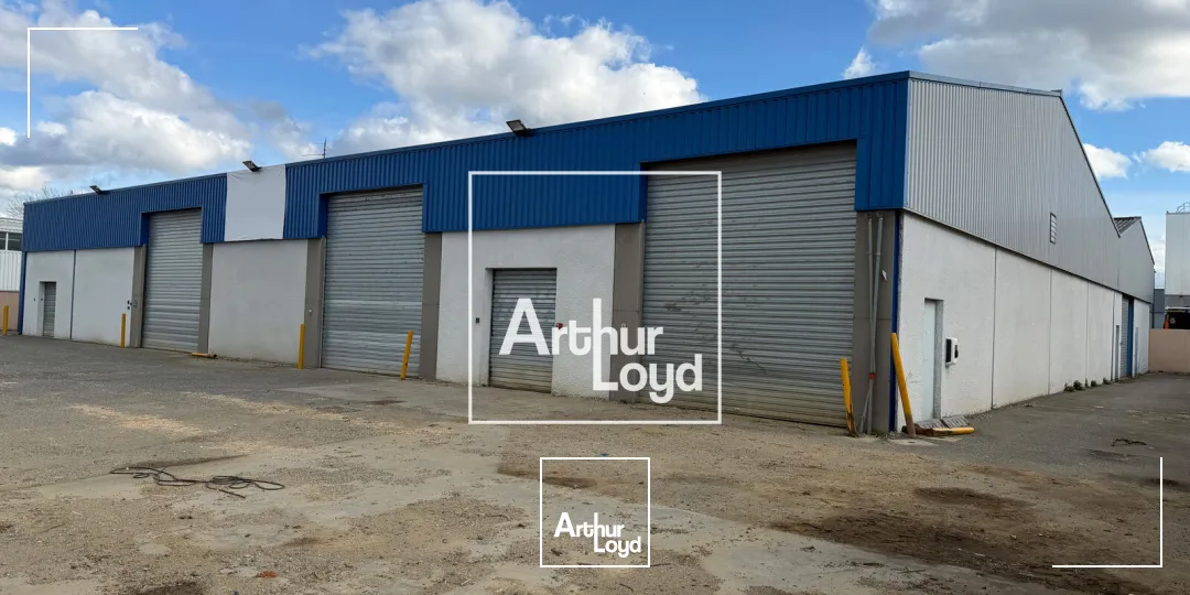 Locaux d'activité & Entrepôts - Vente - COLOMIERS - 31770 - 1018-1018 - 7874662