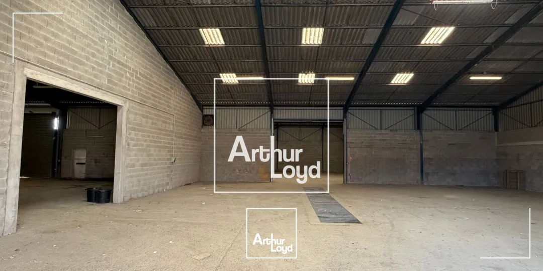 Locaux d'activité & Entrepôts - Vente - COLOMIERS - 31770 - 1018-1018 - 7874668