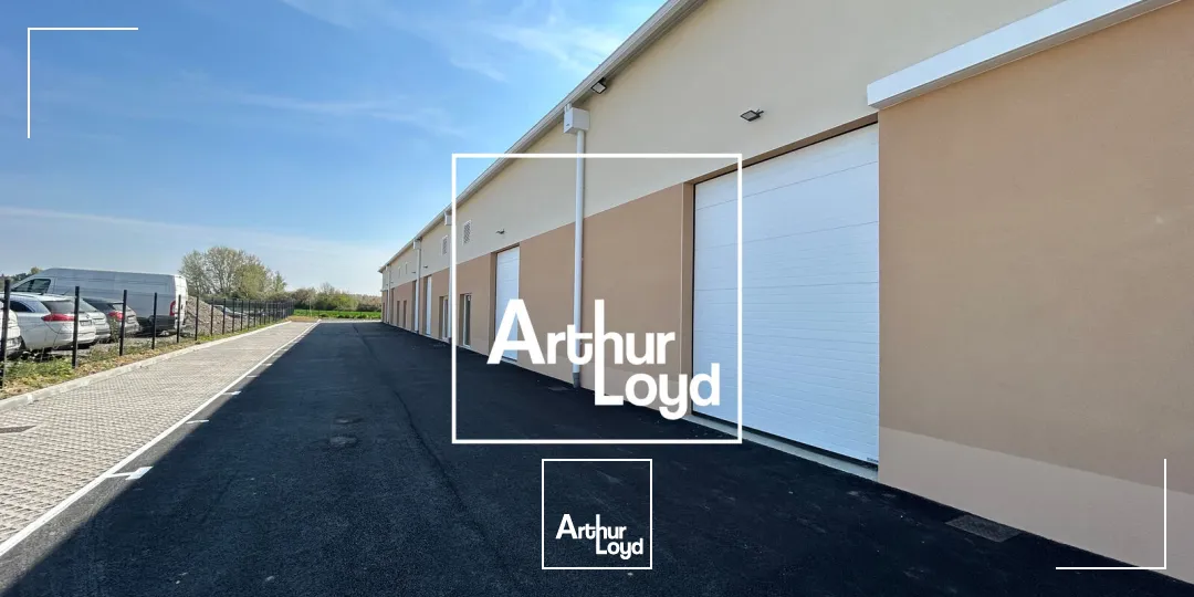 Locaux d'activité & Entrepôts - Vente - CASTELGINEST - 31780 - 70-900 - 7874676