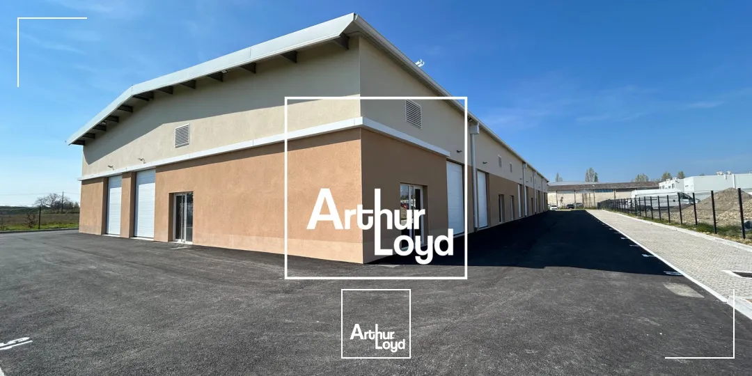 Locaux d'activité & Entrepôts - Location - CASTELGINEST - 31780 - 70-900 - 7874681
