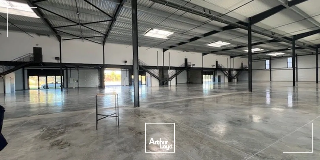 Locaux d'activité & Entrepôts - Location - VILLEBON SUR YVETTE - 91140 - 309-3804 - 7877070