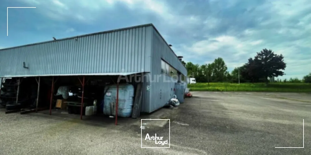 Locaux commerciaux - Location - HUNINGUE - 68330 - 938-938 - 7877393