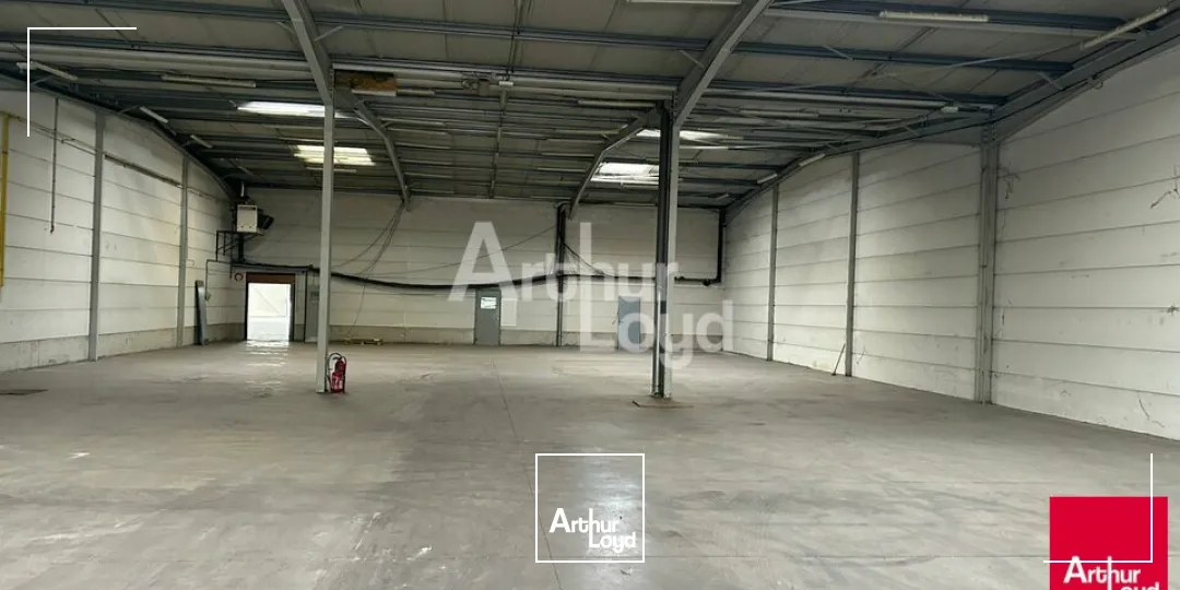 Locaux d'activité & Entrepôts - Location - BLOIS - 41000 - 684-684 - 7877466
