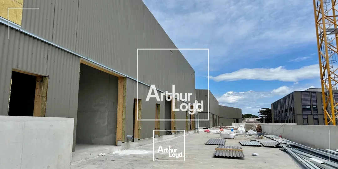 Locaux d'activité & Entrepôts - Location - VILLENEUVE LES MAGUELONE - 34750 - 225-225 - 7877567
