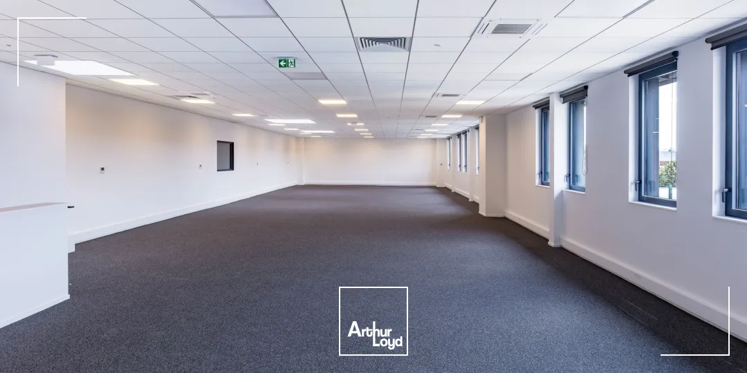 Locaux d'activité & Entrepôts - Location - MITRY MORY - 77290 - 1523-12254 - 7877887