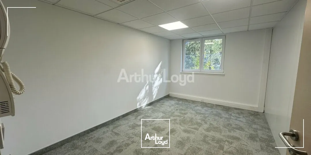 Bureaux - Location - ECKBOLSHEIM - 67201 - 24-199 - 7878276