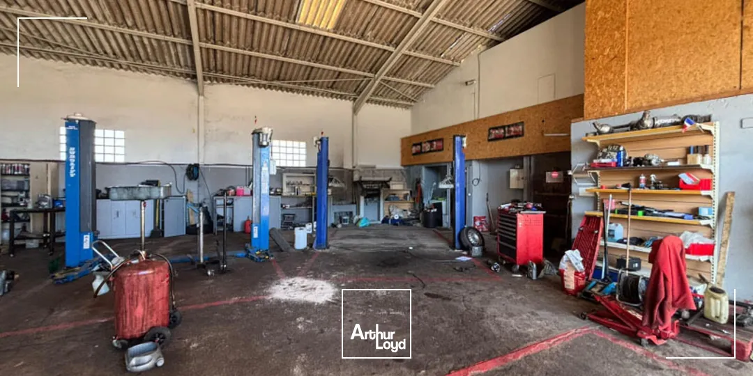 Locaux d'activité & Entrepôts - Vente - NARBONNE - 11100 - 650-650 - 7878785