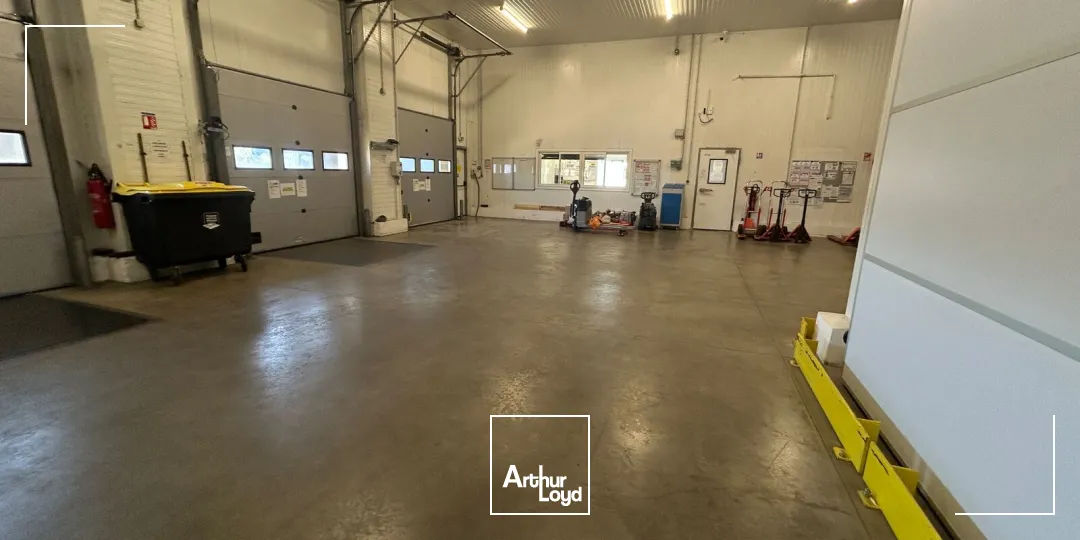 Locaux d'activité & Entrepôts - Vente - PERPIGNAN - 66000 - 2673-2673 - 7878794