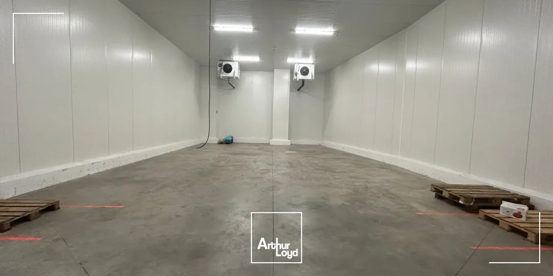 Locaux d'activité & Entrepôts - Vente - PERPIGNAN - 66000 - 2673-2673 - 7878797