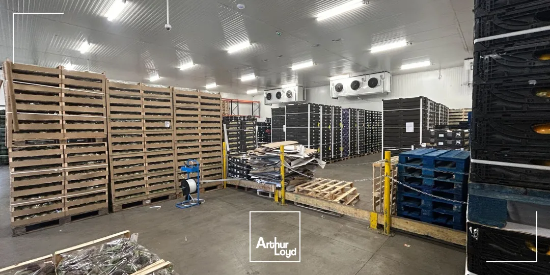 Locaux d'activité & Entrepôts - Vente - PERPIGNAN - 66000 - 2673-2673 - 7878798