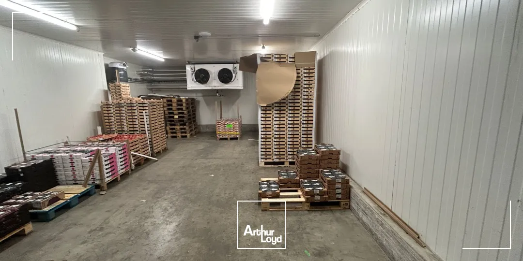 Locaux d'activité & Entrepôts - Vente - PERPIGNAN - 66000 - 2673-2673 - 7878799