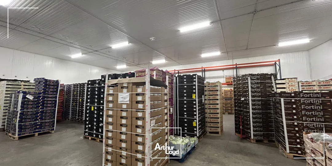 Locaux d'activité & Entrepôts - Vente - PERPIGNAN - 66000 - 2673-2673 - 7878800