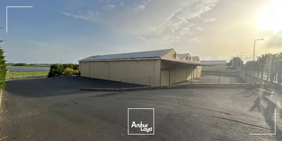 Locaux d'activité & Entrepôts - Vente - VILLENEUVE LES BEZIERS - 34420 - 6020-6020 - 7878896