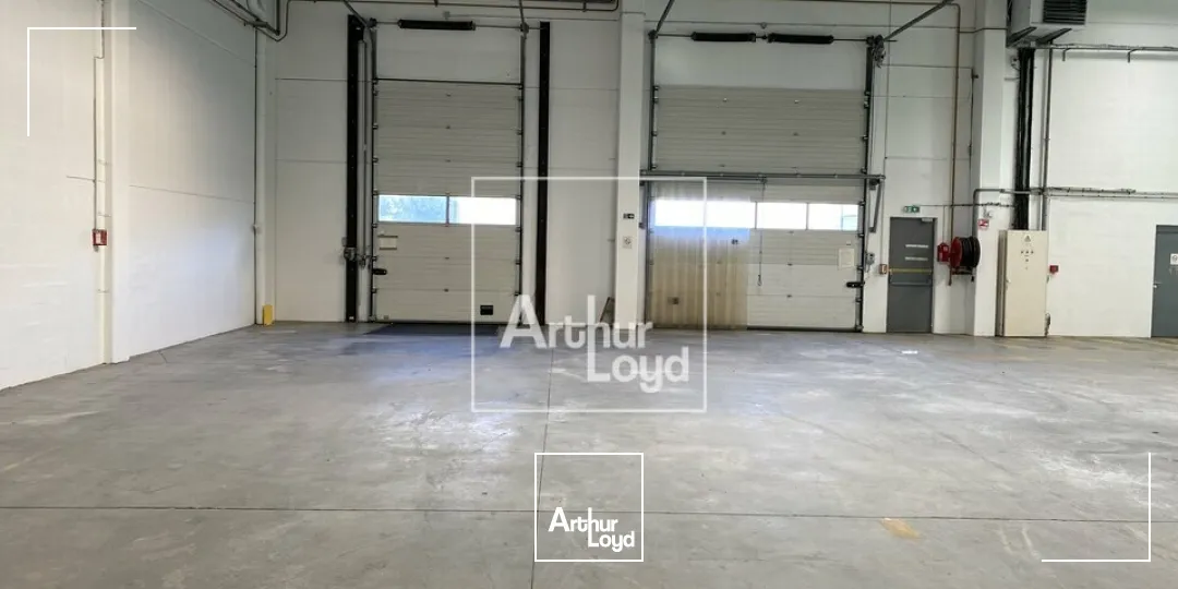 Locaux d'activité & Entrepôts - Location - CHILLY MAZARIN - 91380 - 1313-3980 - 7879689
