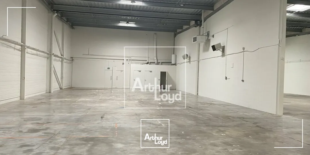 Locaux d'activité & Entrepôts - Location - LISSES - 91090 - 538-1686 - 7879720
