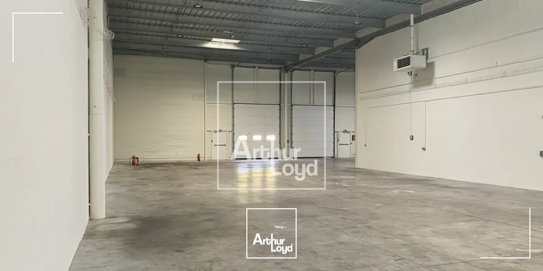Locaux d'activité & Entrepôts - Location - LISSES - 91090 - 538-1686 - 7879716