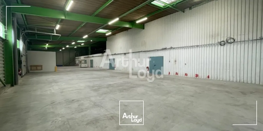 Locaux d'activité & Entrepôts - Location - MOZÉ-SUR-LOUET - 49610 - 245-1080 - 7879762