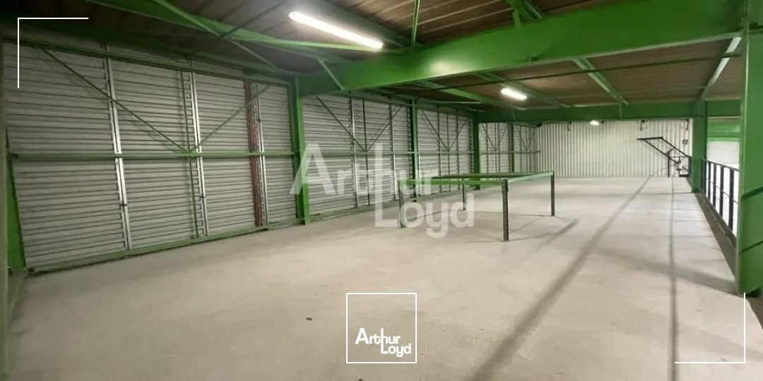 Locaux d'activité & Entrepôts - Location - MOZÉ-SUR-LOUET - 49610 - 245-1080 - 7879765