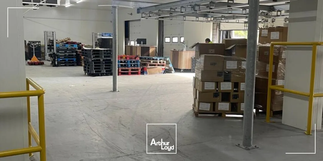 Locaux d'activité & Entrepôts - Location - GONESSE - 95500 - 117-1849 - 7880195