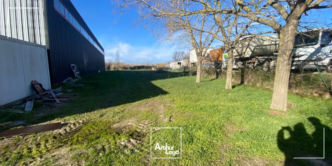 Locaux d'activité & Entrepôts - Location - LANCON PROVENCE - 13680 - 580-580 - 7889297