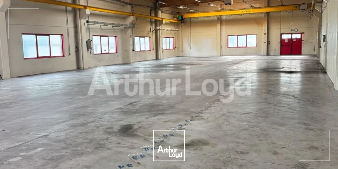 Locaux d'activité & Entrepôts - Location - SECLIN - 59113 - 476-3482 - 7891835