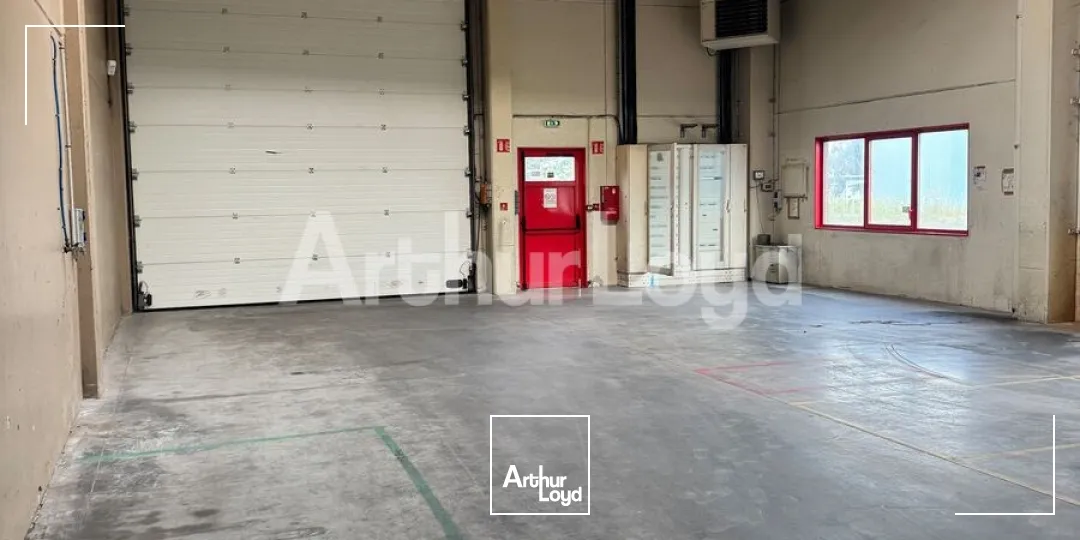 Locaux d'activité & Entrepôts - Location - SECLIN - 59113 - 476-3482 - 7891834