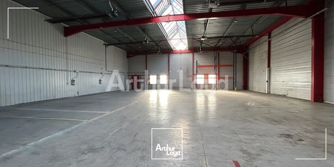 Locaux d'activité & Entrepôts - Location - PETITE FORET - 59494 - 1384-1384 - 7892060