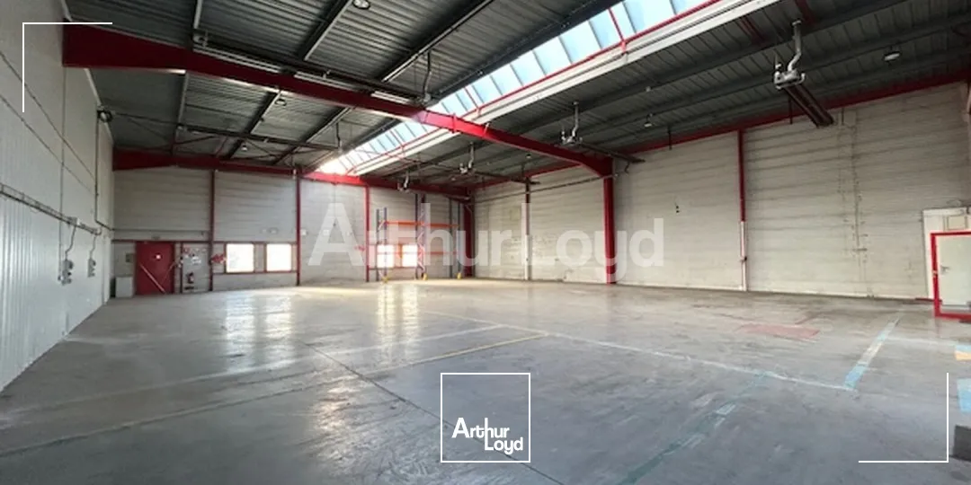 Locaux d'activité & Entrepôts - Location - PETITE FORET - 59494 - 1384-1384 - 7892059