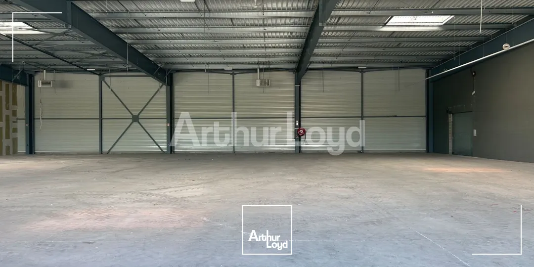Locaux commerciaux - Location - MONTIGNY EN GOHELLE - 62640 - 500-1600 - 7892124