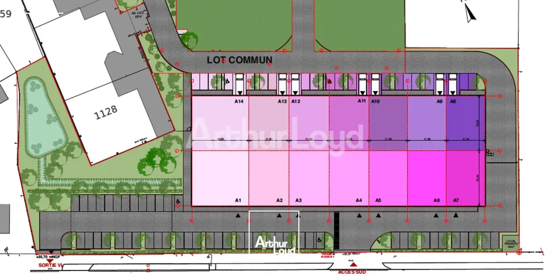 Locaux commerciaux - Vente - NOYELLES GODAULT - 62950 - 254-1932 - 7892895