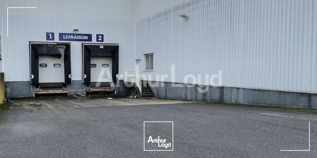Locaux d'activité & Entrepôts - Location - DUNKERQUE - 59640 - 894-894 - 7893105