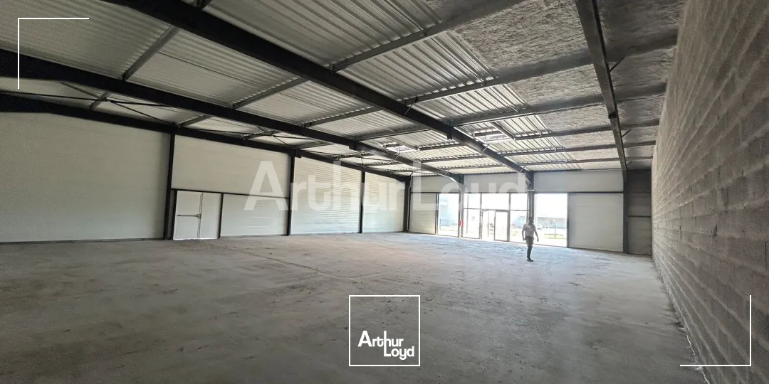 Locaux commerciaux - Location - LYS LEZ LANNOY - 59390 - 384-884 - 7894255