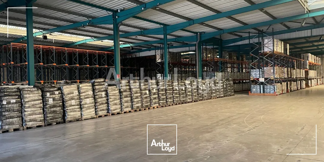 Locaux d'activité & Entrepôts - Location - MONCHY LE PREUX - 62118 - 10390-10390 - 7894390