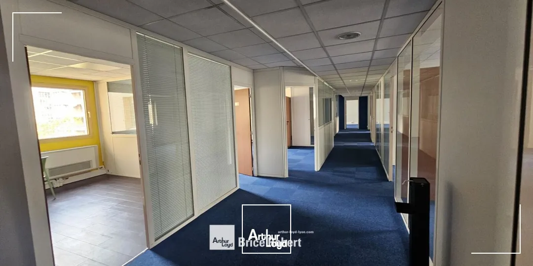 Bureaux - Location - LYON - 69003 - 223.11-1118.44 - 7895242