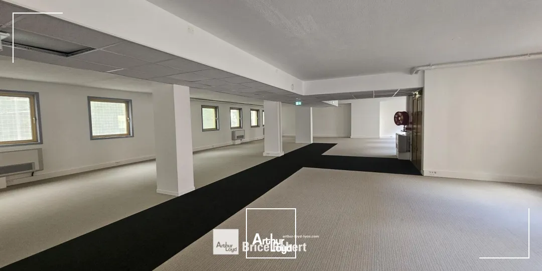Bureaux - Location - LYON - 69003 - 223.11-1118.44 - 7895241