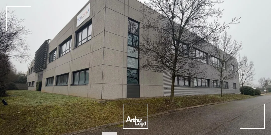 Bureaux - Location - SAINT PRIEST - 69800 - 553-1119 - 7895764