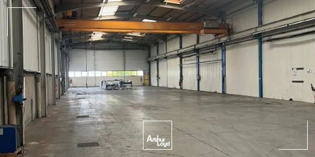 Locaux d'activité & Entrepôts - Location - BELIGNEUX - 01360 - 1570-3480 - 7895876